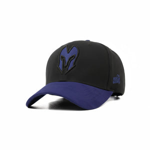 HEAD GEAR BLACK AND PURPLE REDEFINED SUEDE CAP