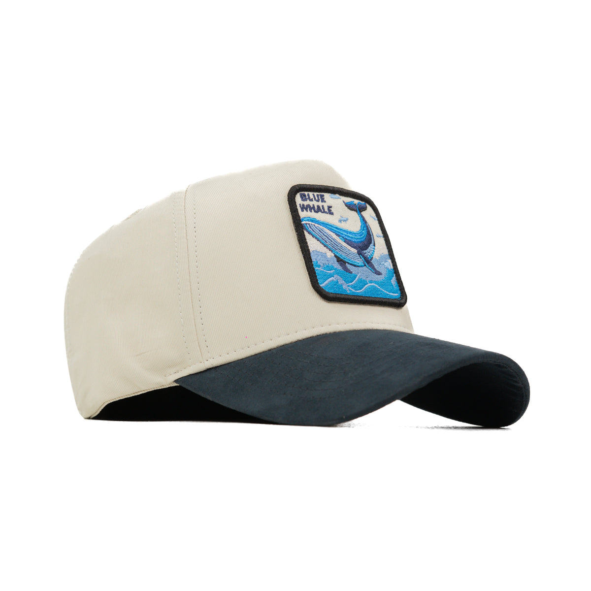 HEAD GEAR WHALE 3D PATCH PREMIUM HIGH CROWN CAP
