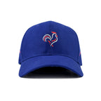 FRANCE WORLD CUP HG EDITION CAP