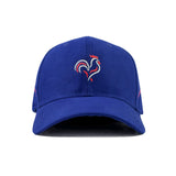 FRANCE WORLD CUP HG EDITION CAP