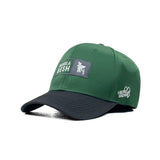 HEAD GEAR BANGLADESH GREEN GREY CAP