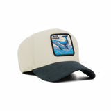 HEAD GEAR WHALE 3D PATCH PREMIUM HIGH CROWN CAP