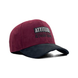 HEAD GEAR ATTITUDE IS EVERYTHING CAP
