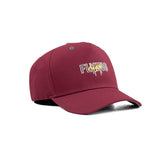 HEAD GEAR FLYING HIGH CAP