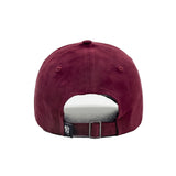 HEAD GEAR ATTITUDE IS EVERYTHING CAP
