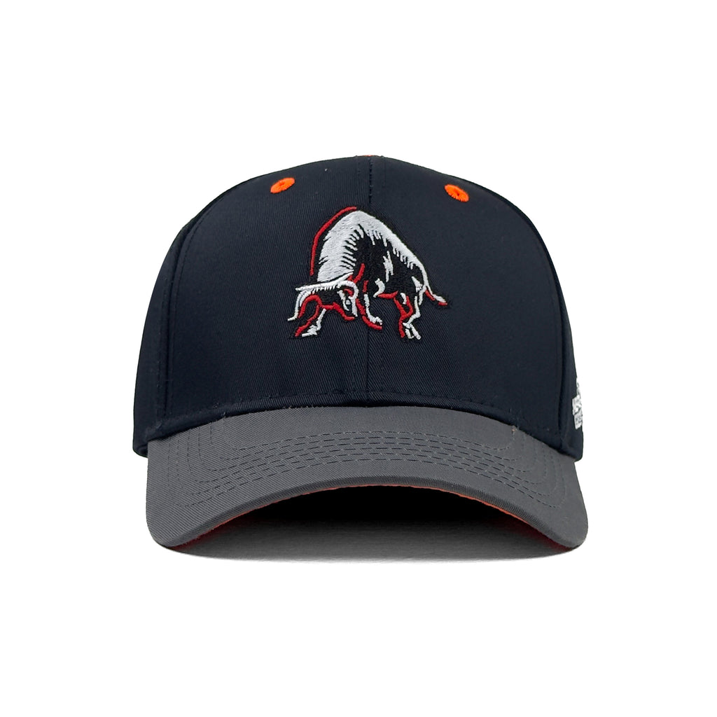 HEAD GEAR BULL CAP