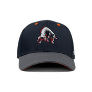 HEAD GEAR BULL CAP
