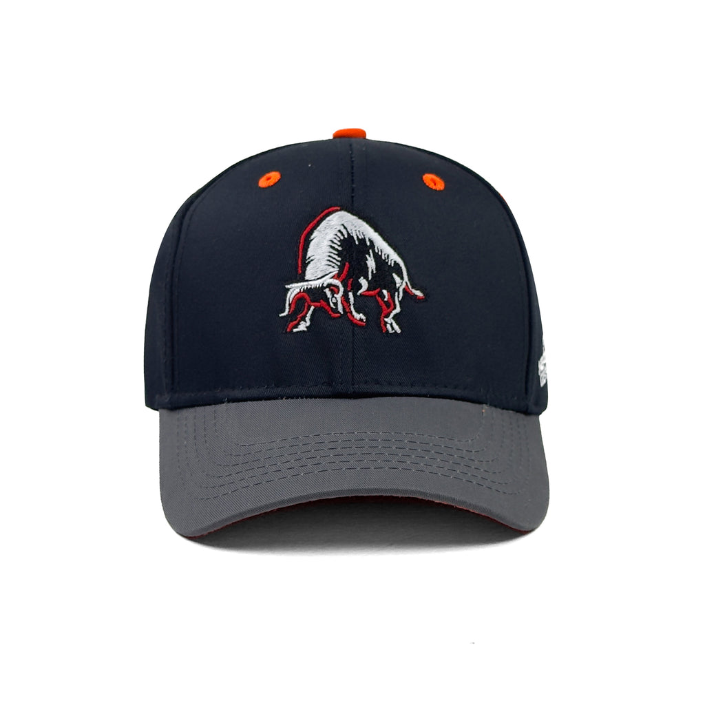 HEAD GEAR BULL CAP