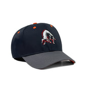 HEAD GEAR BULL CAP