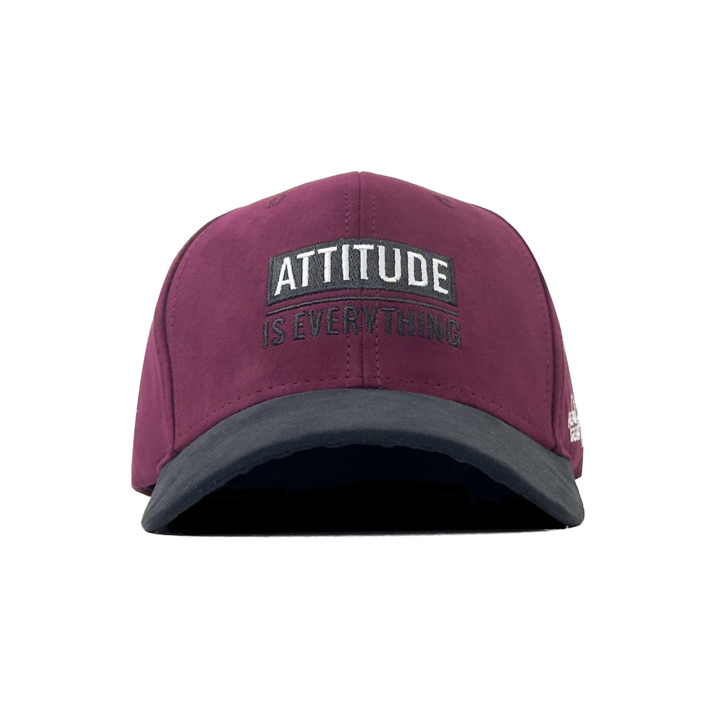 HEAD GEAR ATTITUDE IS EVERYTHING CAP