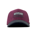 HEAD GEAR ATTITUDE IS EVERYTHING CAP
