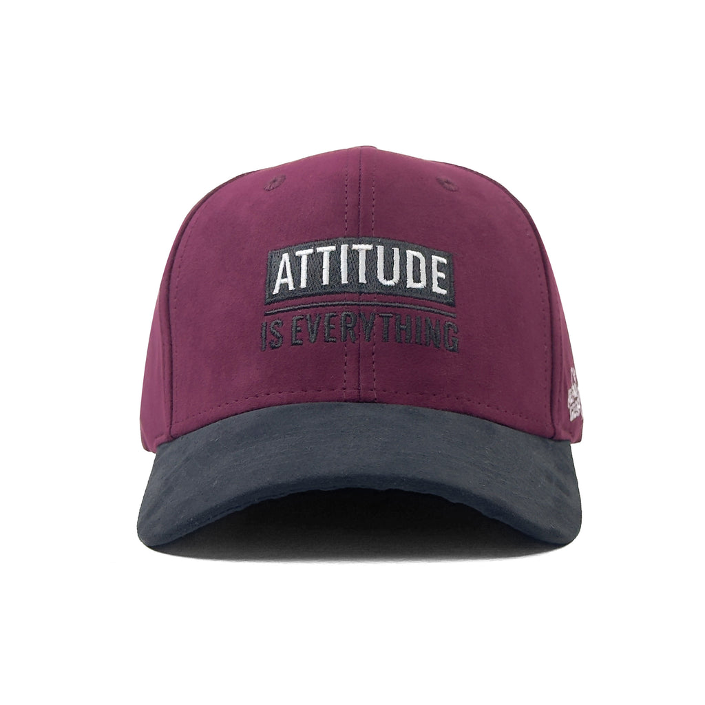 HEAD GEAR ATTITUDE IS EVERYTHING CAP
