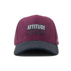 HEAD GEAR ATTITUDE IS EVERYTHING CAP