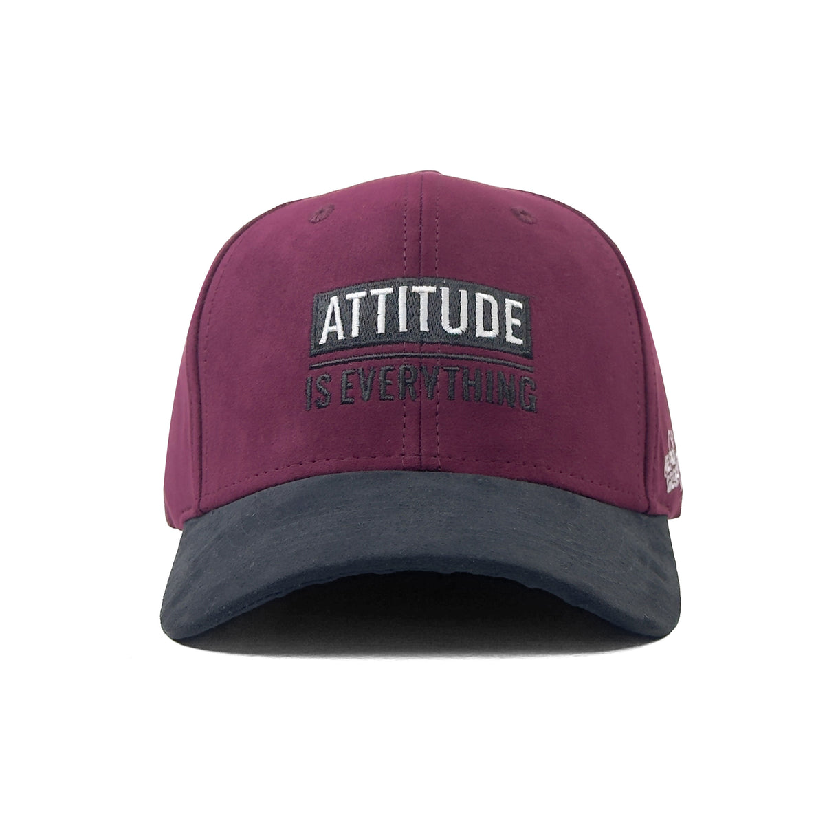 HEAD GEAR ATTITUDE IS EVERYTHING CAP