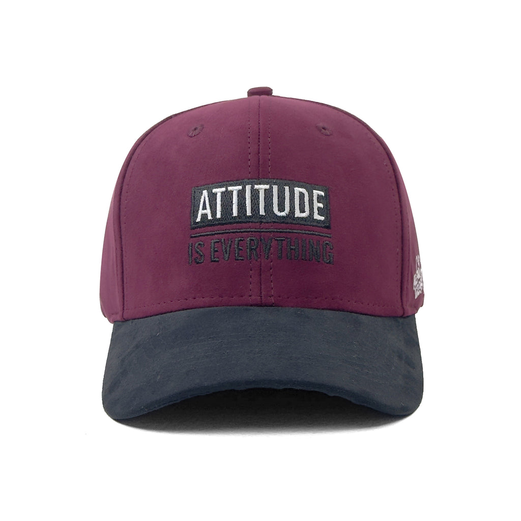 HEAD GEAR ATTITUDE IS EVERYTHING CAP