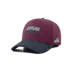 HEAD GEAR ATTITUDE IS EVERYTHING CAP