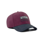 HEAD GEAR ATTITUDE IS EVERYTHING CAP
