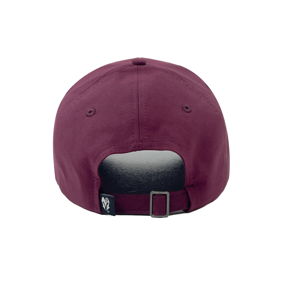 HEAD GEAR ATTITUDE IS EVERYTHING CAP