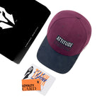 HEAD GEAR ATTITUDE IS EVERYTHING CAP