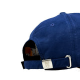 HEAD GEAR "DID I LOSE MY MIND?" SANDWICH CAP