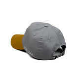 HEAD GEAR GREY BROWN DUAL TONE CAP