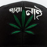 HEAD GEAR PERA NAI CURVED VISOR