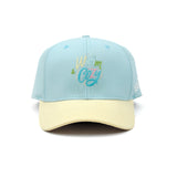 HEAD GEAR WARM & COZY CURVED VISOR CAP