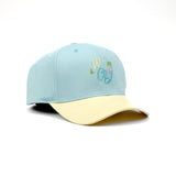HEAD GEAR WARM & COZY CURVED VISOR CAP