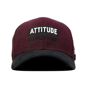 HEAD GEAR ATTITUDE IS EVERYTHING CAP