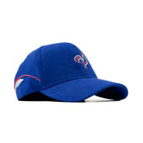 FRANCE WORLD CUP HG EDITION CAP