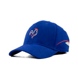 FRANCE WORLD CUP HG EDITION CAP