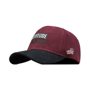 HEAD GEAR ATTITUDE IS EVERYTHING CAP