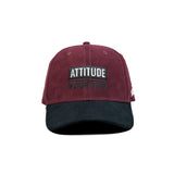 HEAD GEAR ATTITUDE IS EVERYTHING CAP