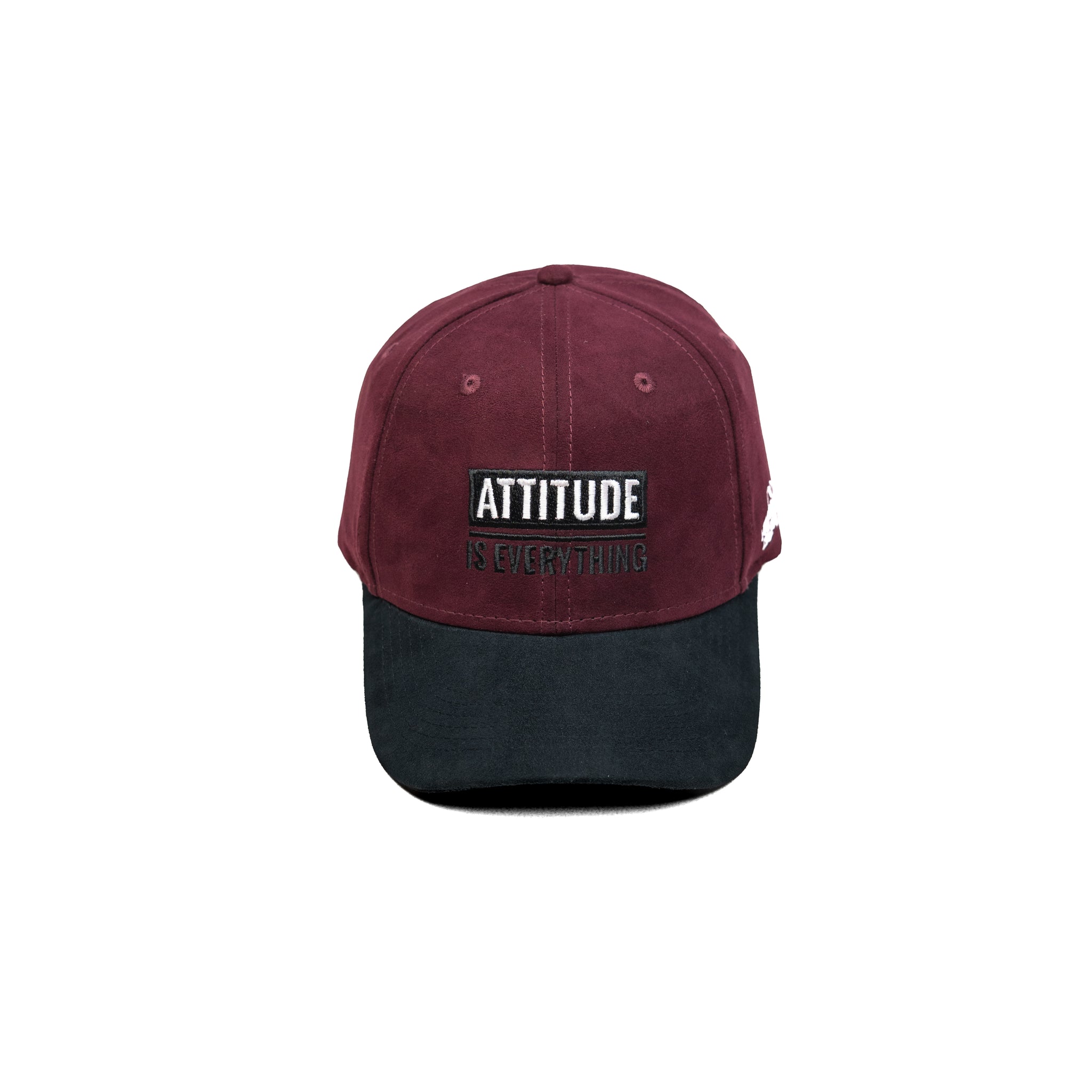 HEAD GEAR ATTITUDE IS EVERYTHING CAP