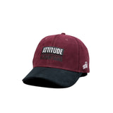 HEAD GEAR ATTITUDE IS EVERYTHING CAP