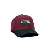 HEAD GEAR ATTITUDE IS EVERYTHING CAP