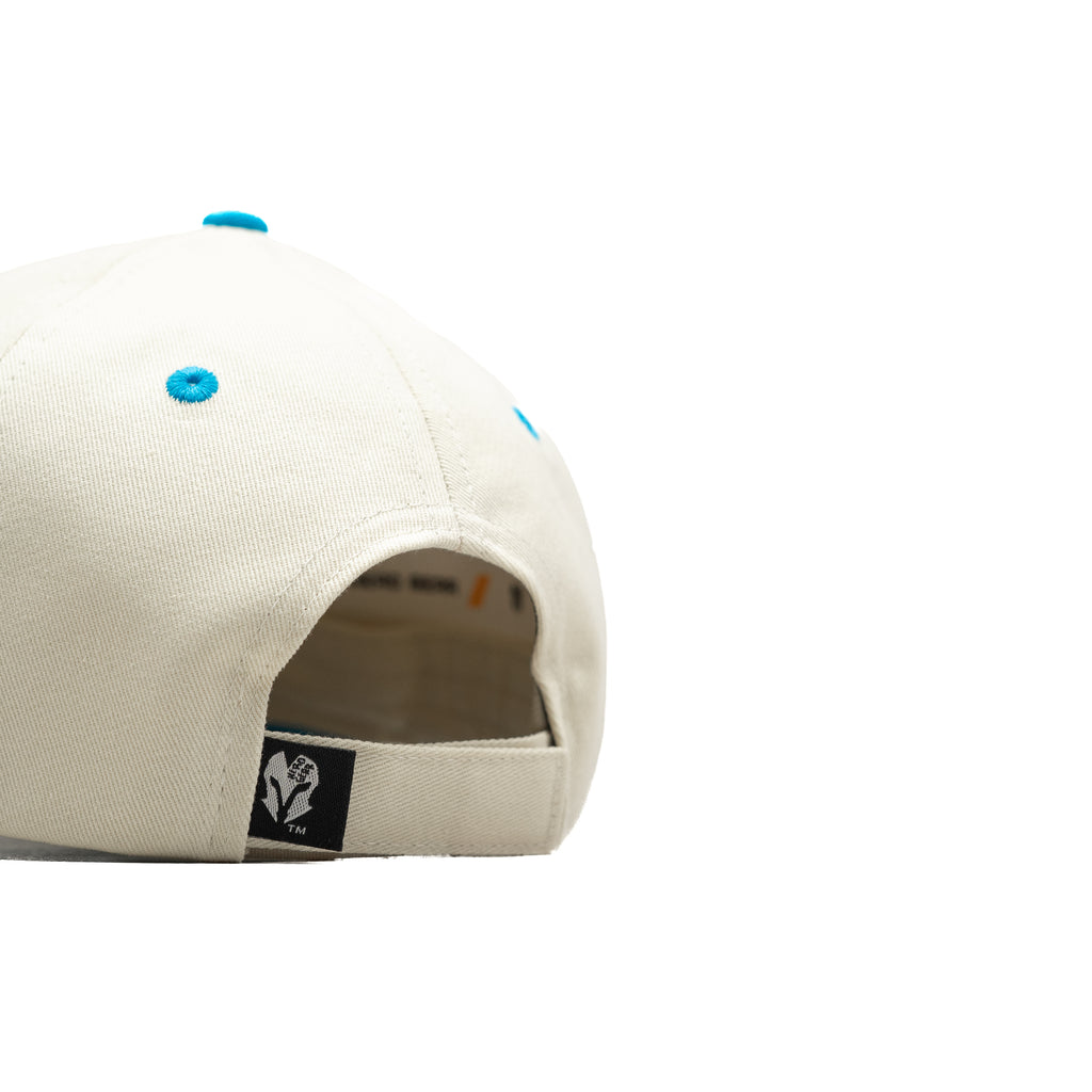 HEAD GEAR WHITE AND BLUE DINOSAUR EDITION KIDS CAP